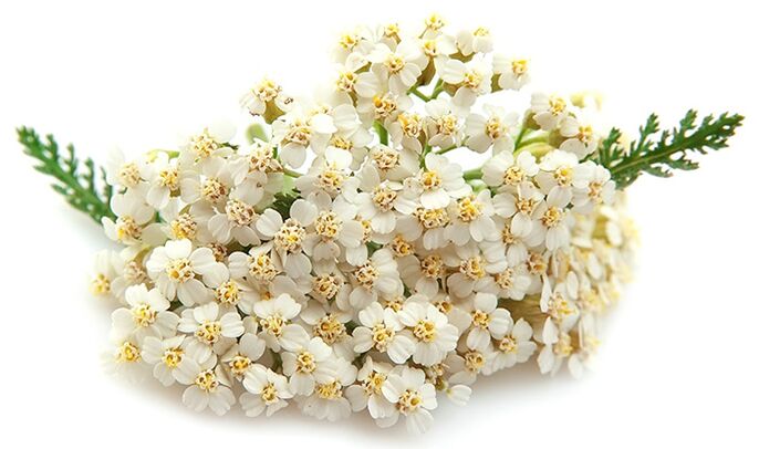 Gelarex bevat duizendblad